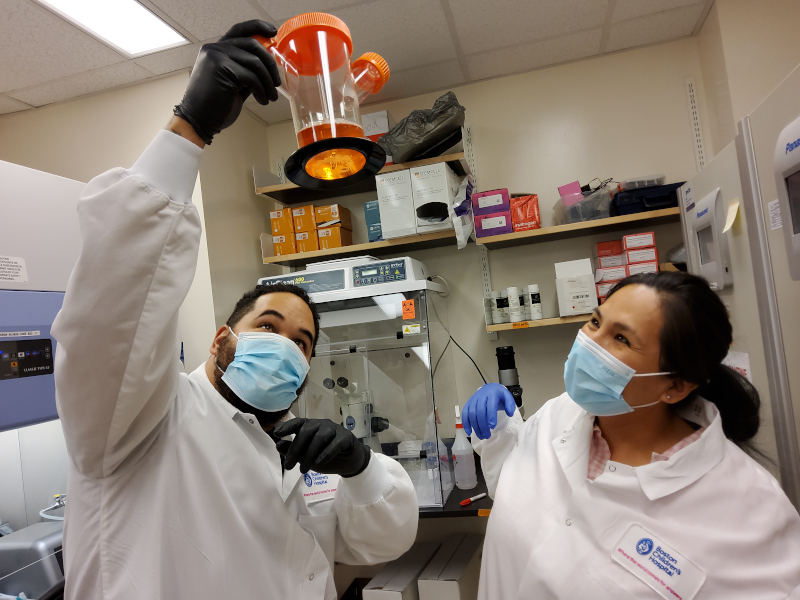 Team members at work in the Translational Neuroscience Center.