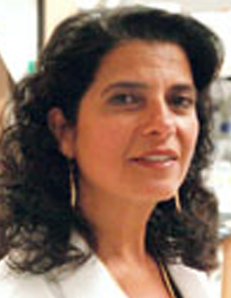 Marsha A. Moses, PhD