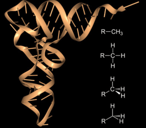 tRNA链的图像，黑色背景上的金色图像。